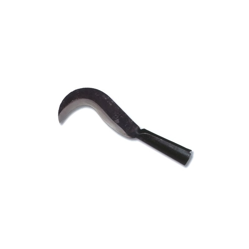 ROSADERA 9 FLORES CORTES 52003