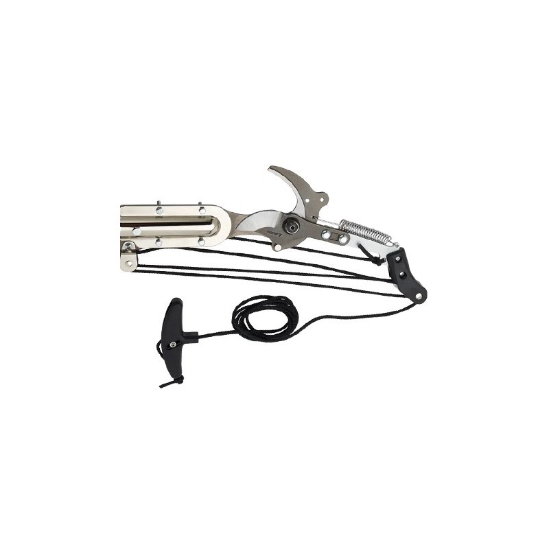 TIJERA PROLINE PERTIGA 3590