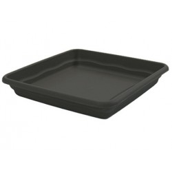 PLATO CUAD.NINFA 19CM...