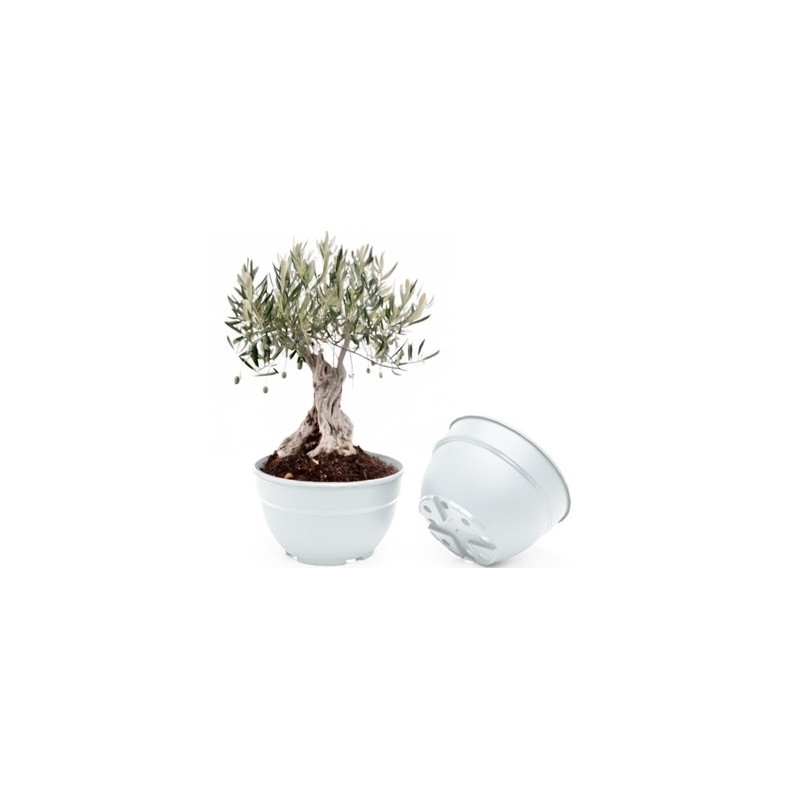 TARRINA ALMERIA 31,5/30X16,3 9LT BLANCA