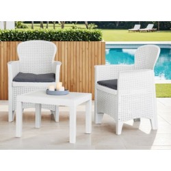 SILLON Y MESA 3 PZAS BLANCO...