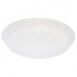 PLATO TRANSPARENTE 19CM...