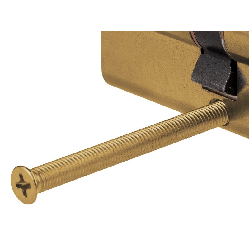 TORNILLO BOMBIN M5X60 HL YALE